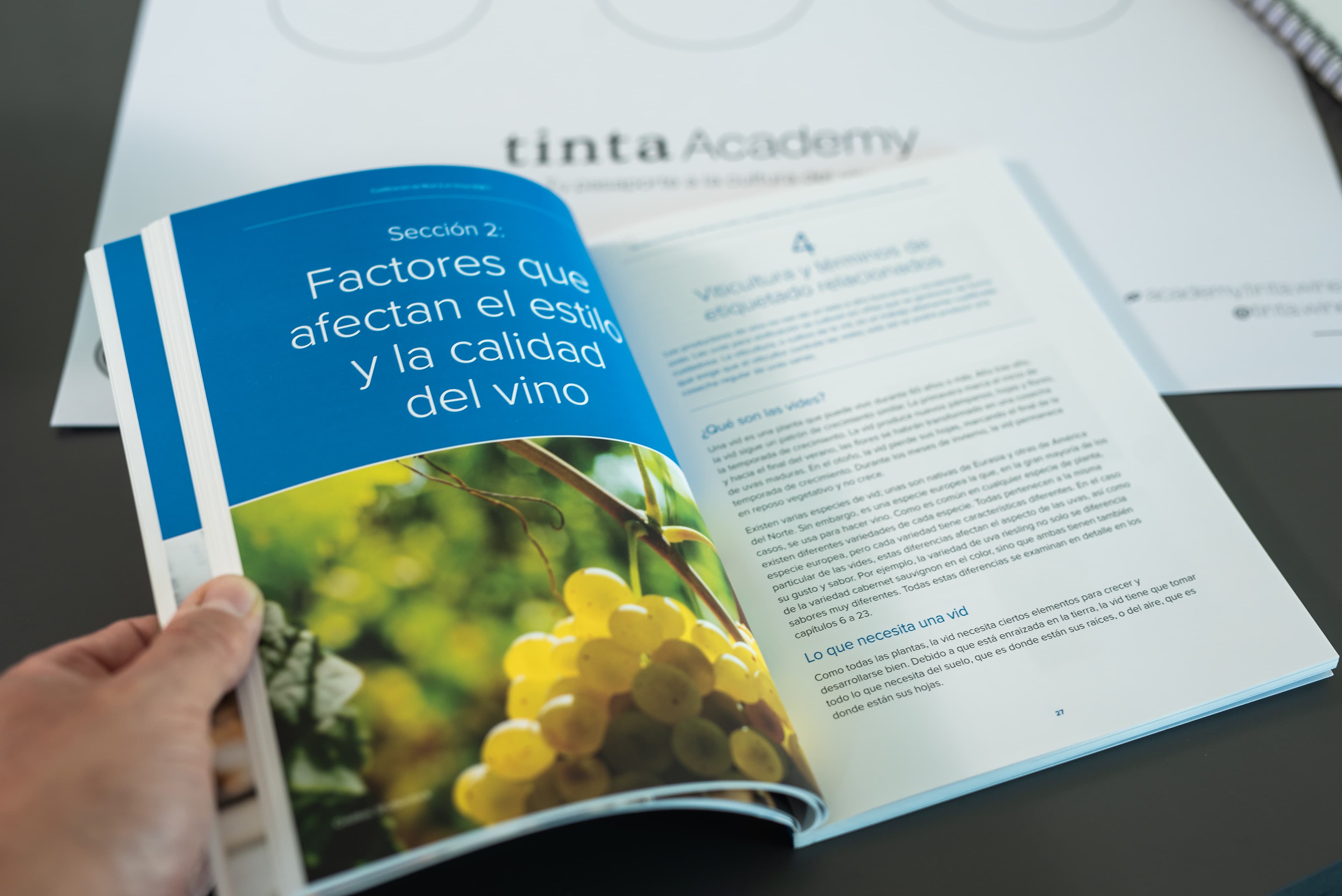 WSET course