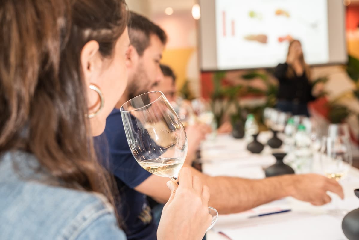 WSET Nivel 2 Cualificación en Vinos