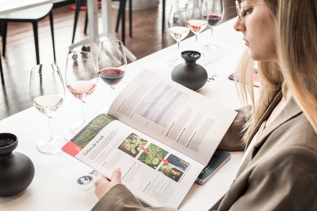 WSET Nivel 1 Cualificación en Vinos