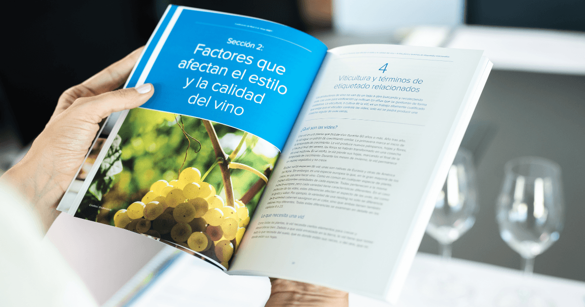 WSET Nivel 2 - noviembre 2026